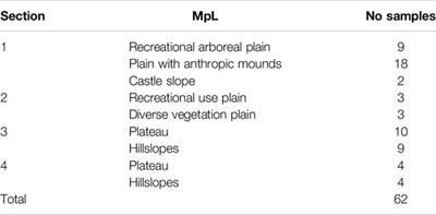 Soil Ecosystem Services in Urban Parks as a Basis for Better Urban Planning: The Case of Mexico City